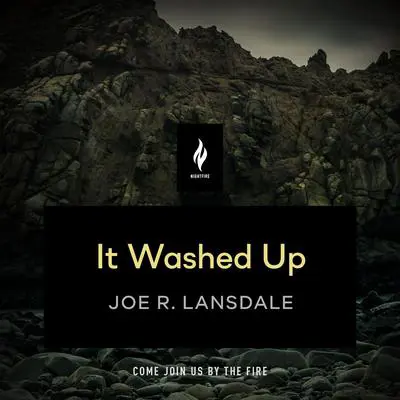 It Washed Up: A Short Horror Story Audibook, by Joe R. Lansdale