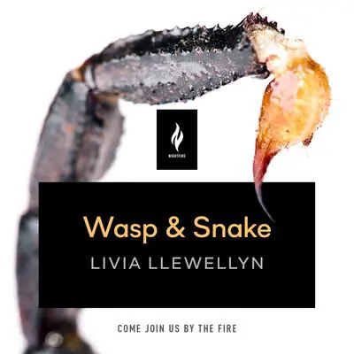 Wasp & Snake: A Short Horror Story Audibook, by Livia Llewellyn