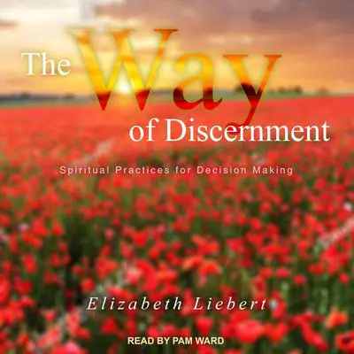 The Way of Discernment: Spiritual Practices for Decision Making Audibook, by Elizabeth Liebert