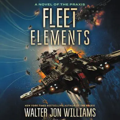Fleet Elements Audibook, by Walter Jon Williams