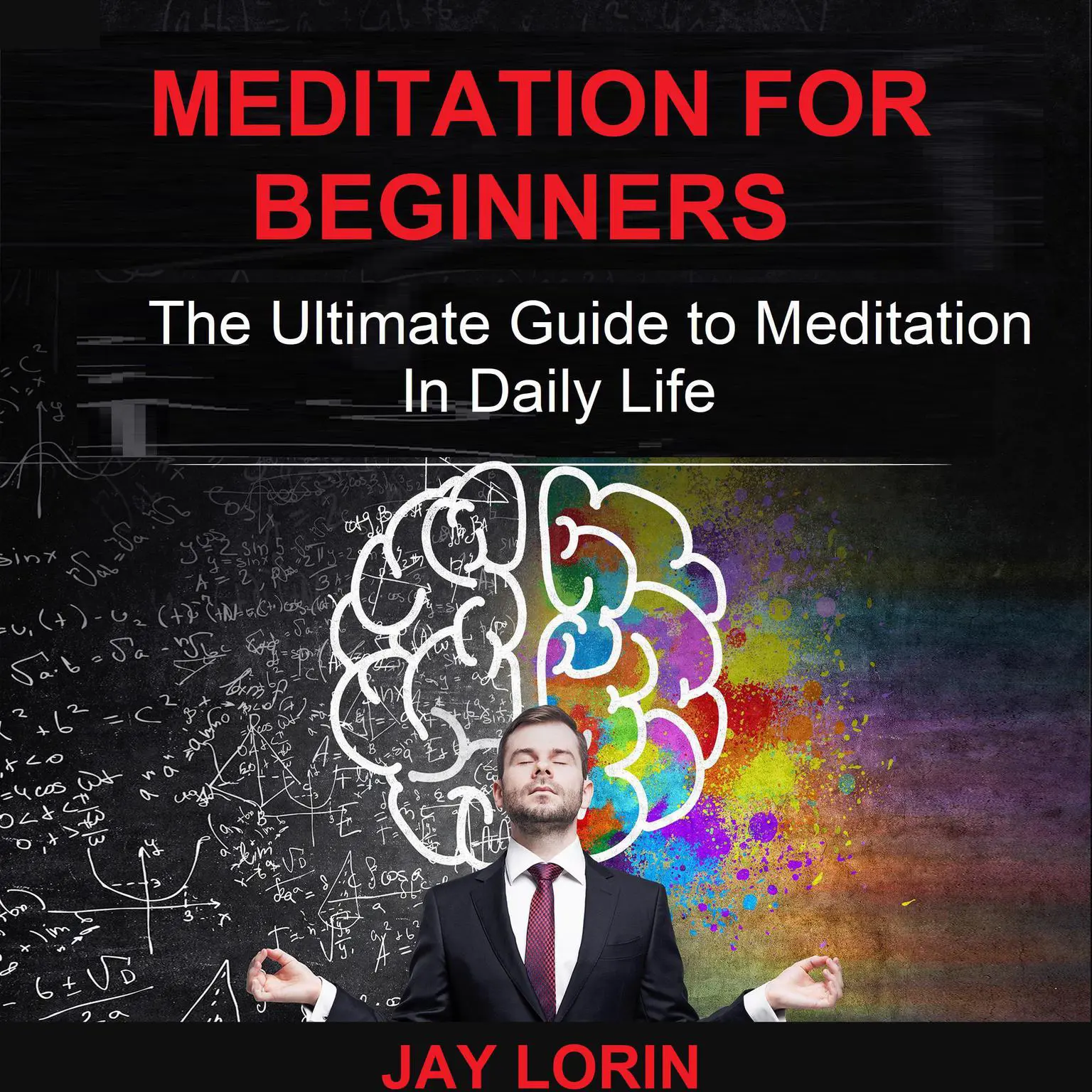 Meditation for Beginners: The Ultimate Guide to Meditation in Daily Life Audiobook, by Jay Lorin