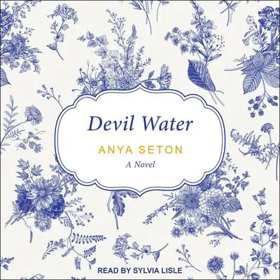Devil Water Audibook, by Anya Seton