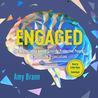 Engaged: The Neuroscience behind Creating Productive People in Successful Organizations Audibook, by Amy Brann