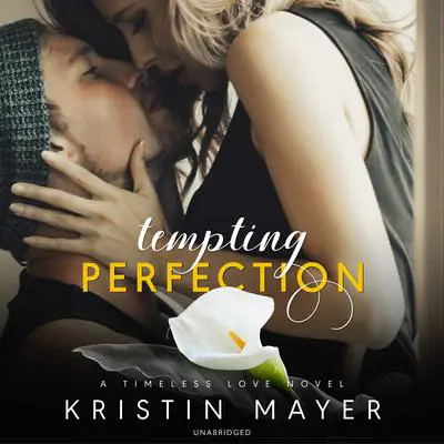 Tempting Perfection Audibook, by Kristin Mayer