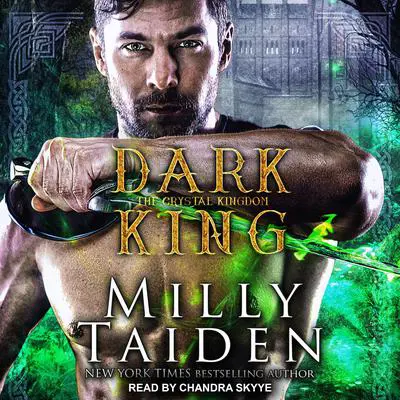 Dark King Audibook, by Milly Taiden