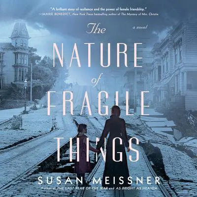 The Nature of Fragile Things Audibook, by Susan Meissner