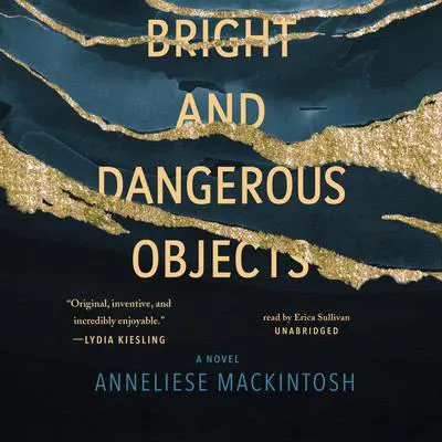 Bright and Dangerous Objects Audibook, by Anneliese Mackintosh
