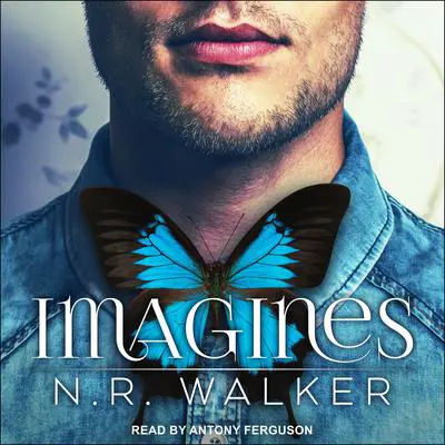 Imagines Audibook, by N.R. Walker