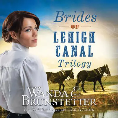 Brides of Lehigh Canal Trilogy Audibook, by Wanda E. Brunstetter