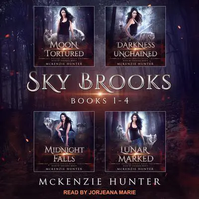 Sky Brooks: Books 1-4 Box Set Audibook, by McKenzie Hunter