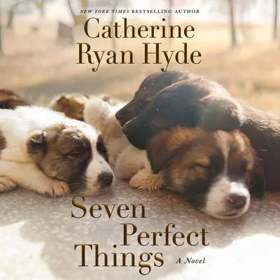 Seven Perfect Things: A Novel Audibook, by Catherine Ryan Hyde