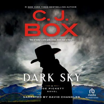 Dark Sky Audibook, by C. J. Box