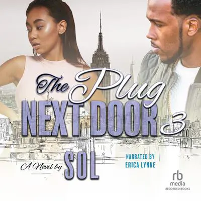 The Plug Next Door 3 Audibook, by Sol