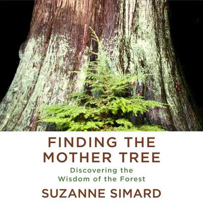 Finding the Mother Tree: Discovering the Wisdom of the Forest Audibook, by Suzanne Simard