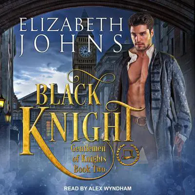 Black Knight Audibook, by Elizabeth Johns