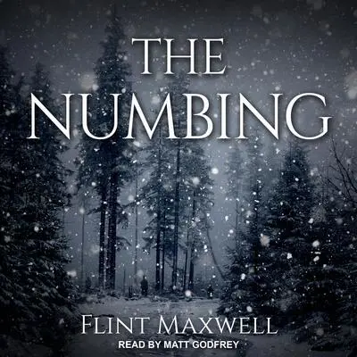 The Numbing Audibook, by Flint Maxwell