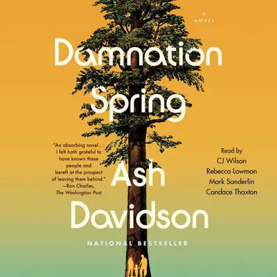 Damnation Spring Audibook, by Ash Davidson