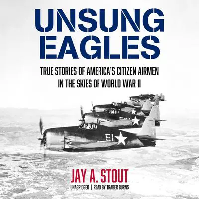 Unsung Eagles: True Stories of America’s Citizen Airmen in the Skies of World War II Audibook, by Jay A. Stout
