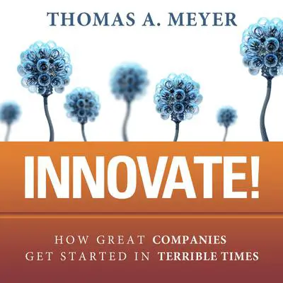 Innovate!: How Great Companies Get Started in Terrible Times Audibook, by Thomas A. Meyer