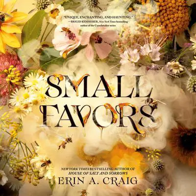 Small Favors Audibook, by Erin A. Craig