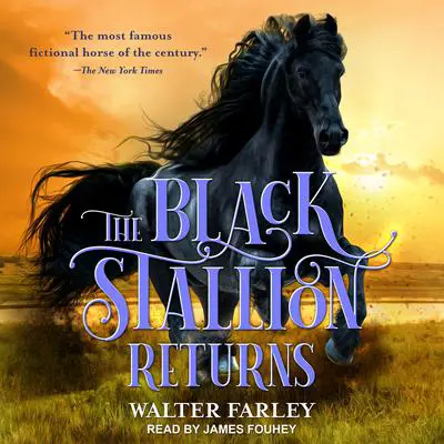 The Black Stallion Returns Audibook, by Walter Farley
