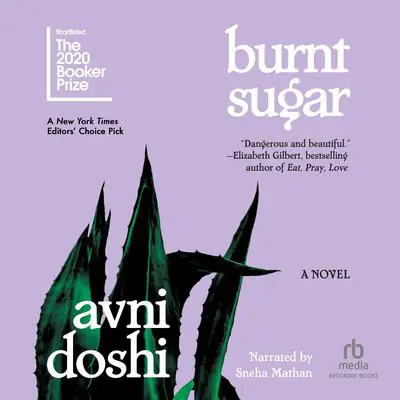 Burnt Sugar Audibook, by Avni Doshi