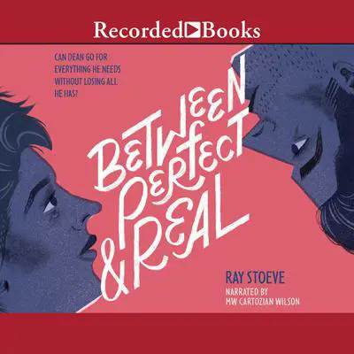 Between Perfect and Real Audibook, by Ray Stoeve
