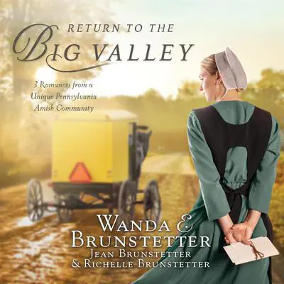 Return to the Big Valley Audibook, by Wanda E. Brunstetter