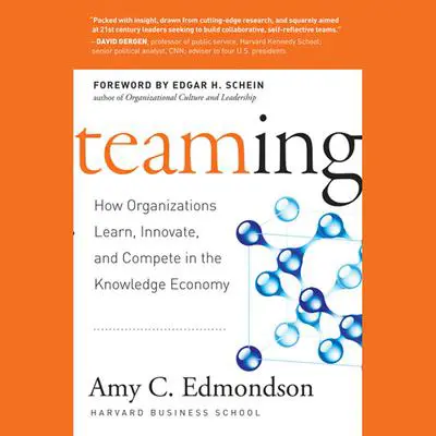 Teaming: How Organizations Learn, Innovate, and Compete in the Knowledge Economy Audibook, by Amy C. Edmondson