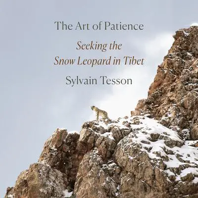 The Art of Patience: Seeking the Snow Leopard in Tibet Audibook, by Sylvain Tesson