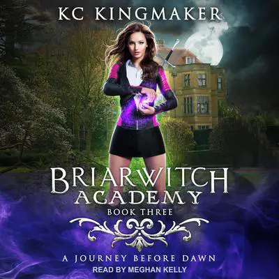 A Journey Before Dawn Audibook, by KC Kingmaker
