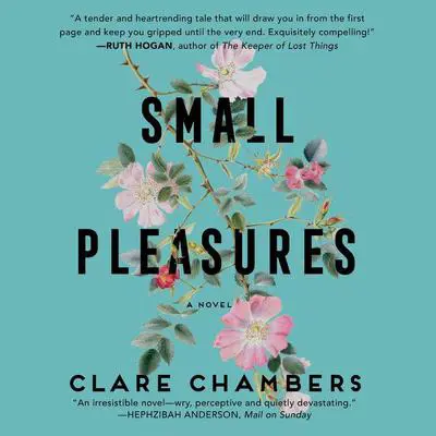 Small Pleasures: A Novel Audibook, by Clare Chambers