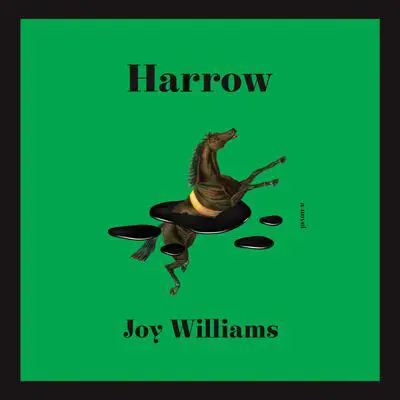 Harrow: A novel (Kirkus Prize) Audibook, by Joy Williams