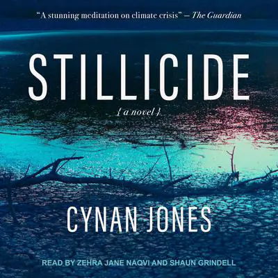 Stillicide: A Novel Audibook, by Cynan Jones