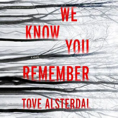 We Know You Remember: A Novel Audibook, by Tove Alsterdal