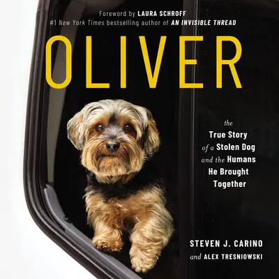 Oliver: The True Story of a Stolen Dog and the Humans He Brought Together Audibook, by Steven J. Carino