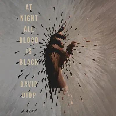 At Night All Blood Is Black: A Novel Audibook, by David Diop