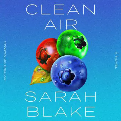 Clean Air Audibook, by Sarah Blake