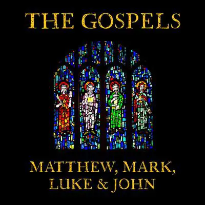 The Gospels:: Matthew, Mark, Luke and John  Audibook, by Alison Larkin
