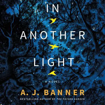 In Another Light: A Novel Audibook, by A. J. Banner
