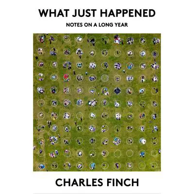 What Just Happened: Notes on a Long Year Audibook, by Charles Finch