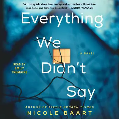 Everything We Didn't Say: A Novel Audibook, by Nicole Baart
