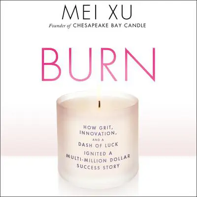 Burn: How Grit, Innovation, and a Dash of Luck Ignited a Multi-Million Dollar Success Story Audibook, by Mei Xu