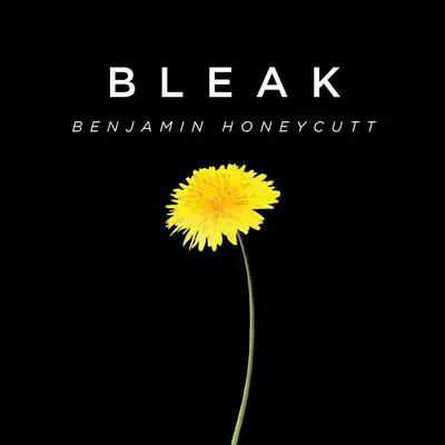 Bleak: A Story of Bullying, Rage, and Survival Audibook, by Benjamin Honeycutt