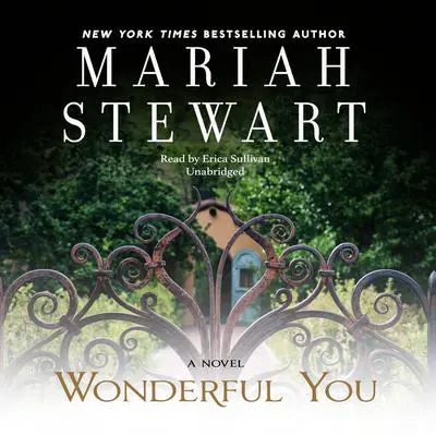 Wonderful You Audibook, by Mariah Stewart