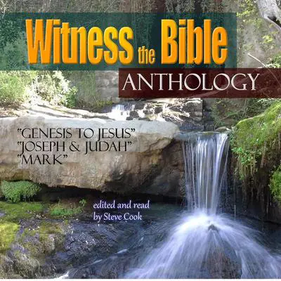 Witness the Bible: Anthology Audibook, by Various 