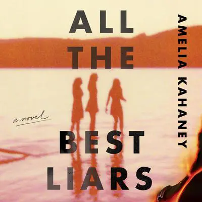 All the Best Liars: A Novel Audibook, by Amelia Kahaney