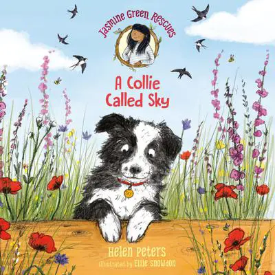 Jasmine Green Rescues: A Collie Called Sky Audibook, by Helen Peters