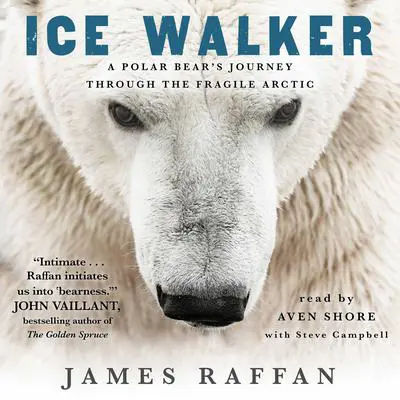 Ice Walker: A Polar Bear's Journey through the Fragile Arctic Audibook, by James Raffan