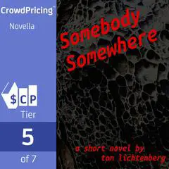 Somebody Somewhere Audibook, by Tom Lichtenberg